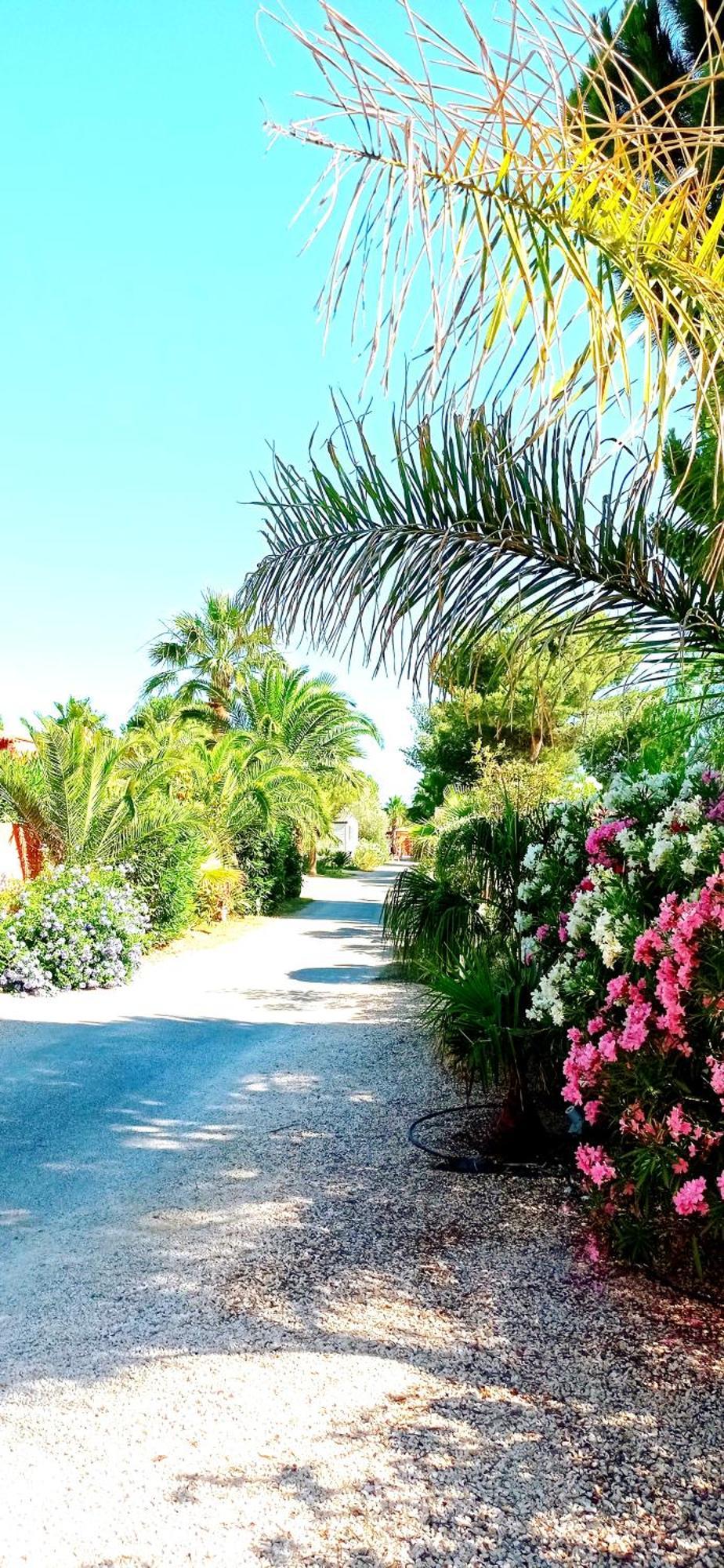 Happymobilhome Argeles-Sur-Mer -Plage A 500M- Camping 4 Etoiles Del Mar المظهر الخارجي الصورة